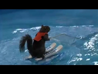 Белка на лыжах