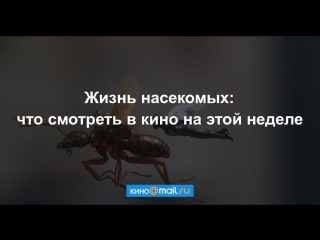 Жизнь насекомых: что смотреть в кино на этой неделе